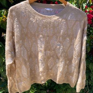 Fuzzy Sheer Cropped Sweater from It Girl